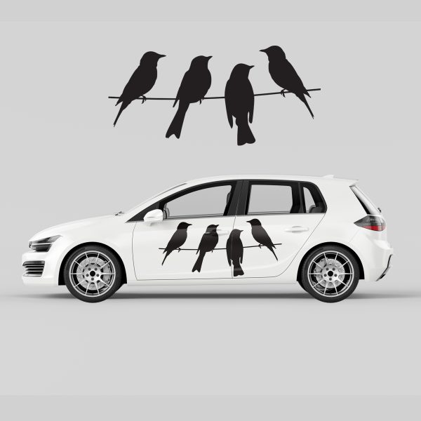 Car Door Decal - Sitting Birds - Image 4